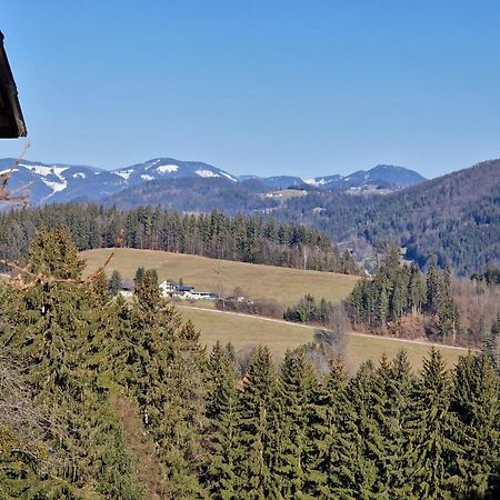 Natur- & Erlebnis Ferienhaus Voitsberg Esterno foto