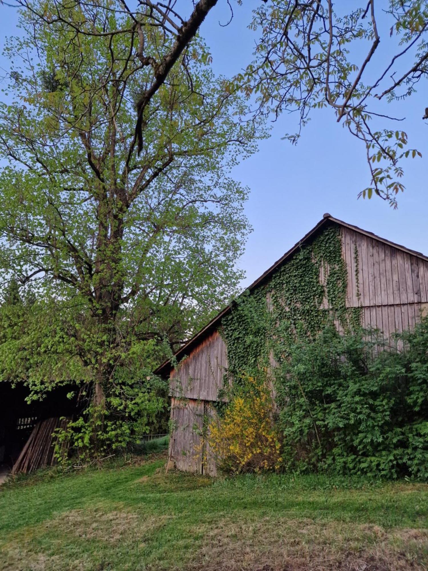 Natur- & Erlebnis Ferienhaus Voitsberg Esterno foto